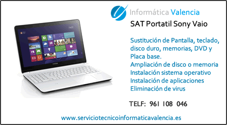 servicio tecnico portatil Sony Vaio Fuenterrobles